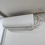 mosaO8lliJ