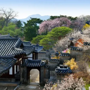 1thumb_Changdeokgung_Palace