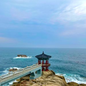 KakaoTalk_20250605_032452891_10